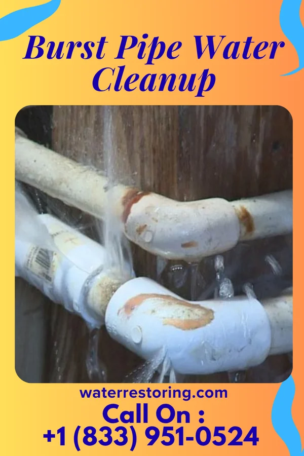 Burst Pipe Water Cleanup in Blaine, TN
