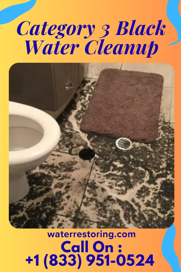 Category 3 Black Water Cleanup in Blaine, TN