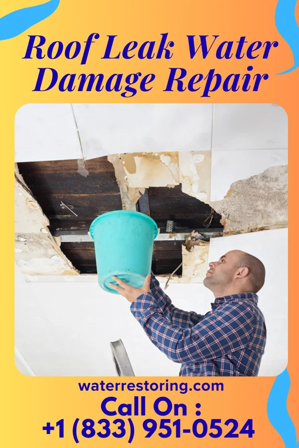 Roof Leak Water Damage Repair in Blaine, TN